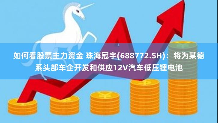 如何看股票主力资金 珠海冠宇(688772.SH)：将为某德系头部车企开发和供应12V汽车低压锂电池